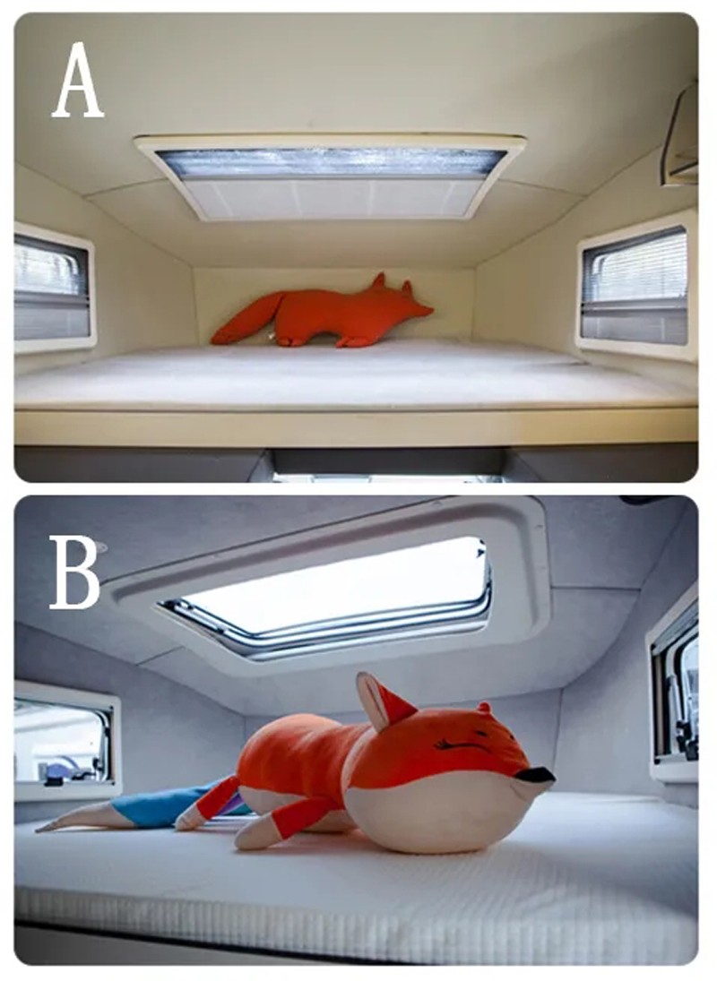 哪款自由炮和您更般配？