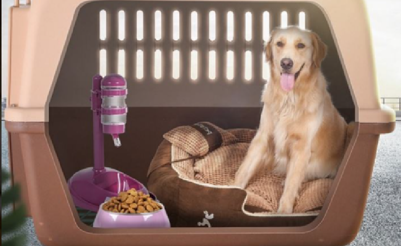 帶著寵物去旅行(一)前期準(zhǔn)備 帶著寵物去旅行(一)前期準(zhǔn)備