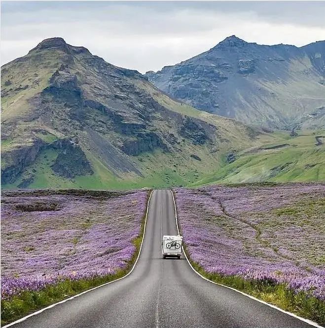 成年人不做選擇題，自由與安穩(wěn)我都要！