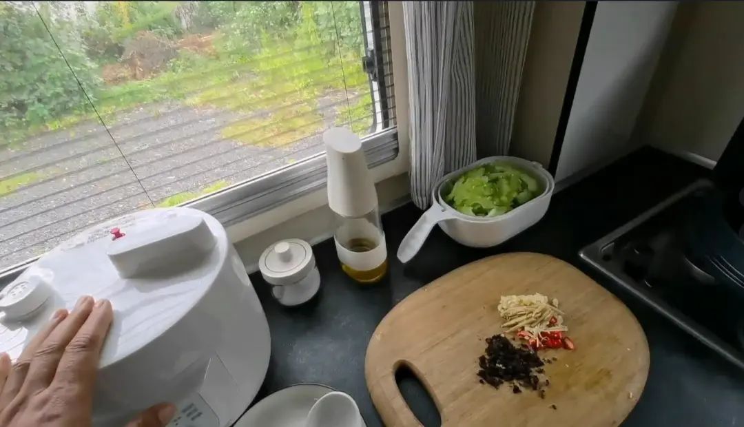 58歲的她，自駕房車旅居，一人兩犬，活成了自己喜歡的樣子